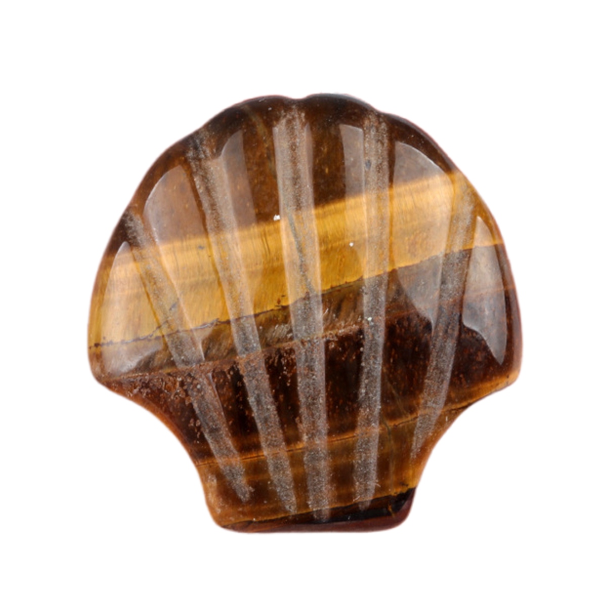 Handmade Craved 30MM Gemstone Shell for Home & Office Decor SP1383