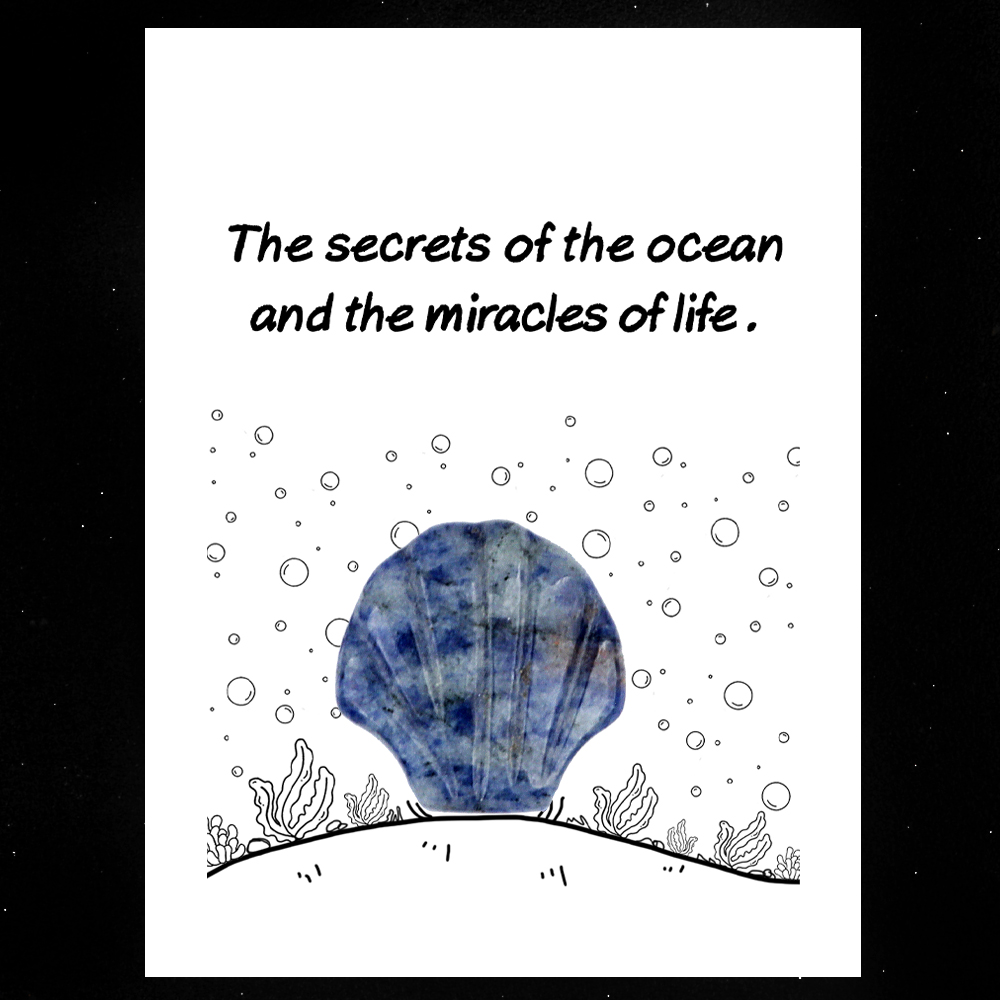 [Copy]Handmade Craved 30MM Gemstone Shell for Home & Office Decor SP1383-in card packing