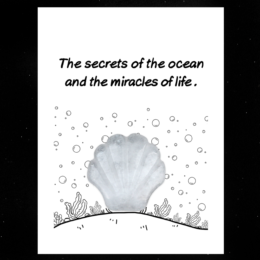 [Copy]Handmade Craved 30MM Gemstone Shell for Home & Office Decor SP1383-in card packing