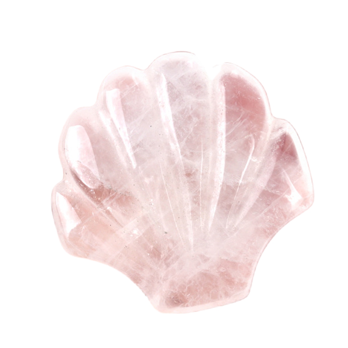 Handmade Craved 30MM Gemstone Shell for Home & Office Decor SP1383