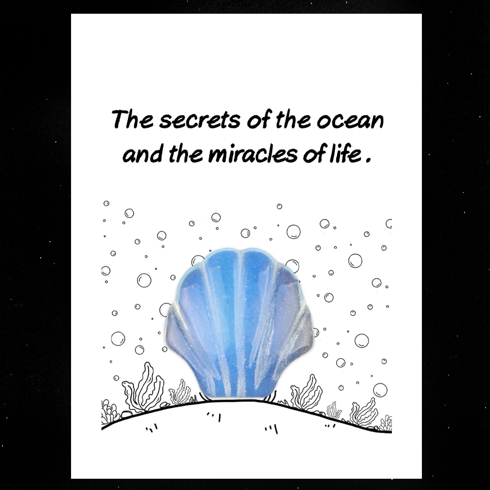 [Copy]Handmade Craved 30MM Gemstone Shell for Home & Office Decor SP1383-in card packing