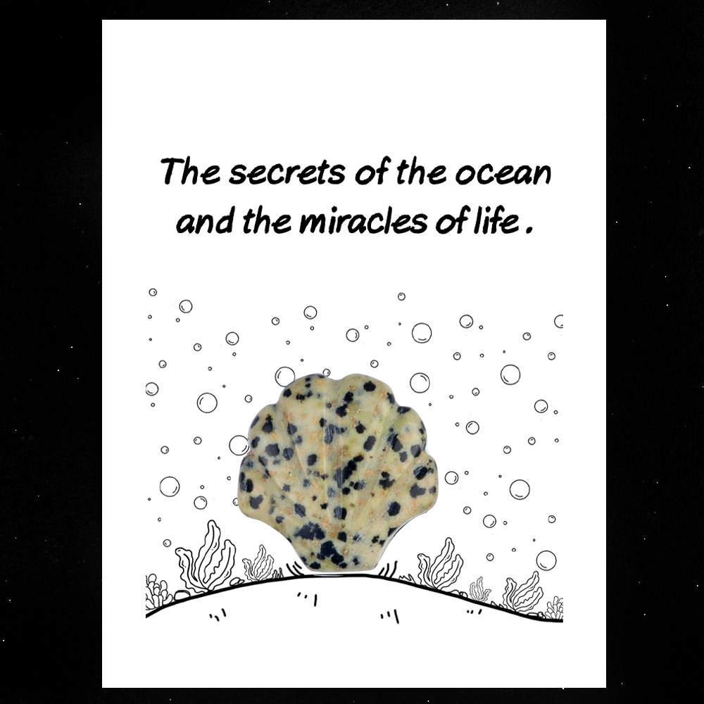 [Copy]Handmade Craved 30MM Gemstone Shell for Home & Office Decor SP1383-in card packing