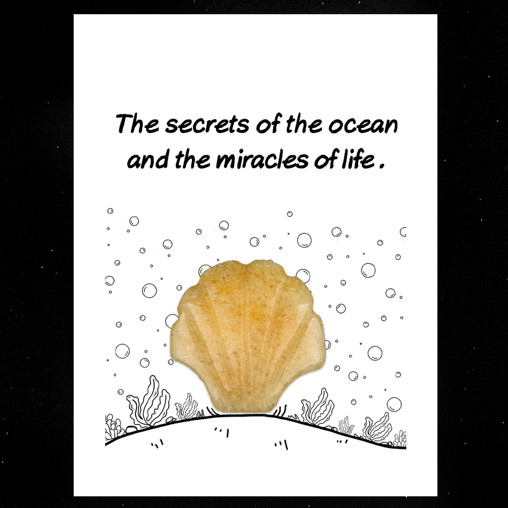 [Copy]Handmade Craved 30MM Gemstone Shell for Home & Office Decor SP1383-in card packing