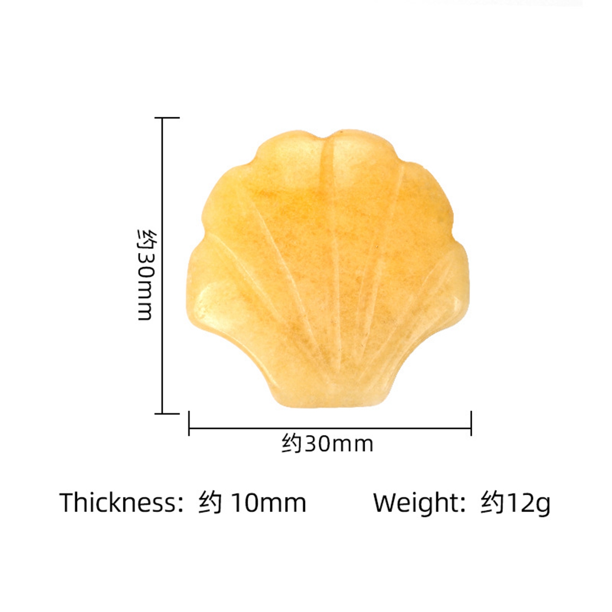 Handmade Craved 30MM Gemstone Shell for Home & Office Decor SP1383