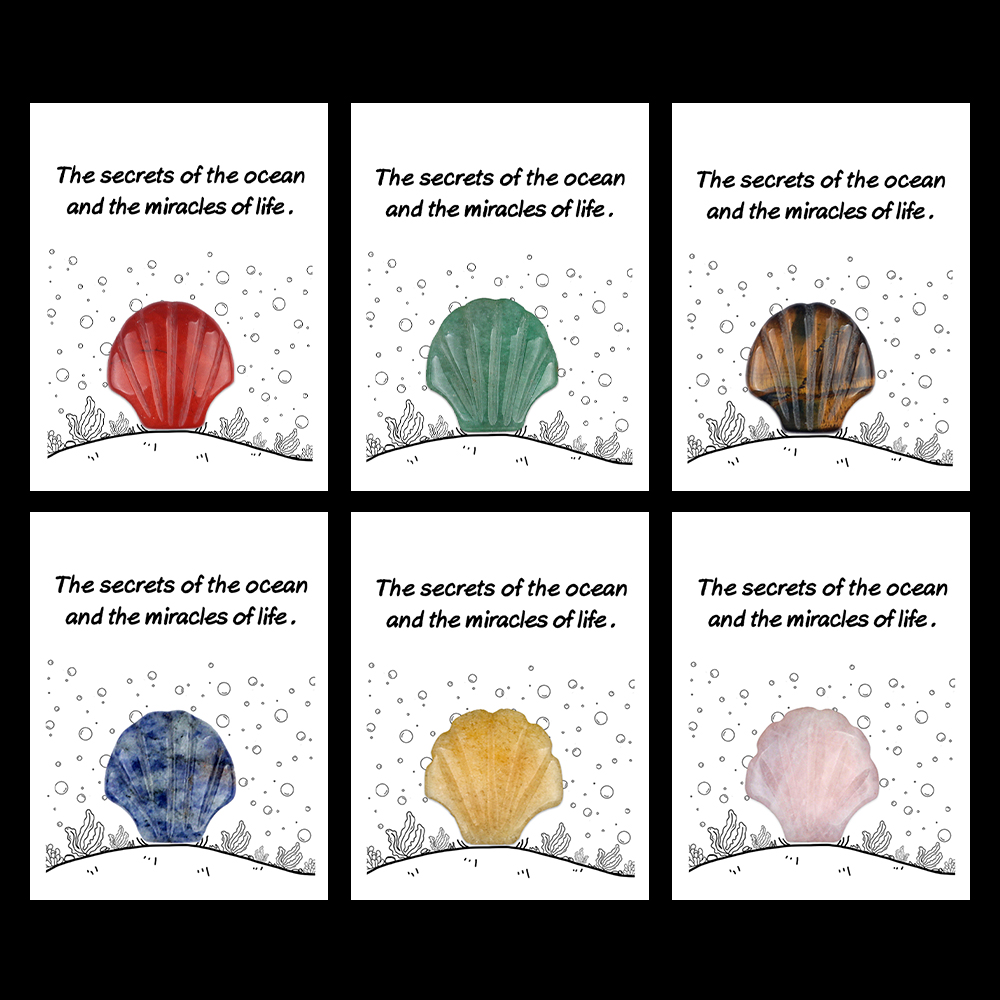 [Copy]Handmade Craved 30MM Gemstone Shell for Home & Office Decor SP1383-in card packing