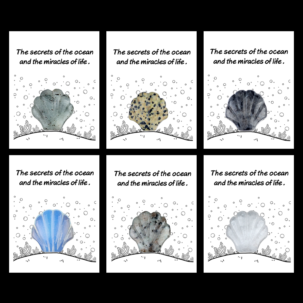 [Copy]Handmade Craved 30MM Gemstone Shell for Home & Office Decor SP1383-in card packing