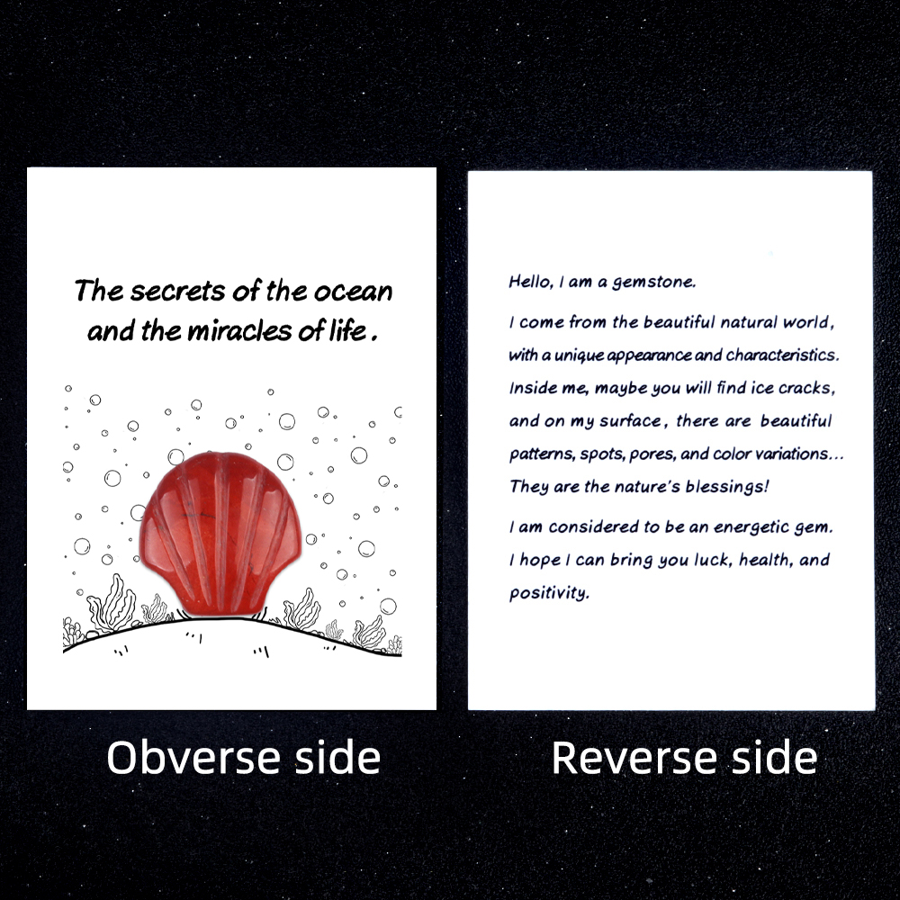 [Copy]Handmade Craved 30MM Gemstone Shell for Home & Office Decor SP1383-in card packing