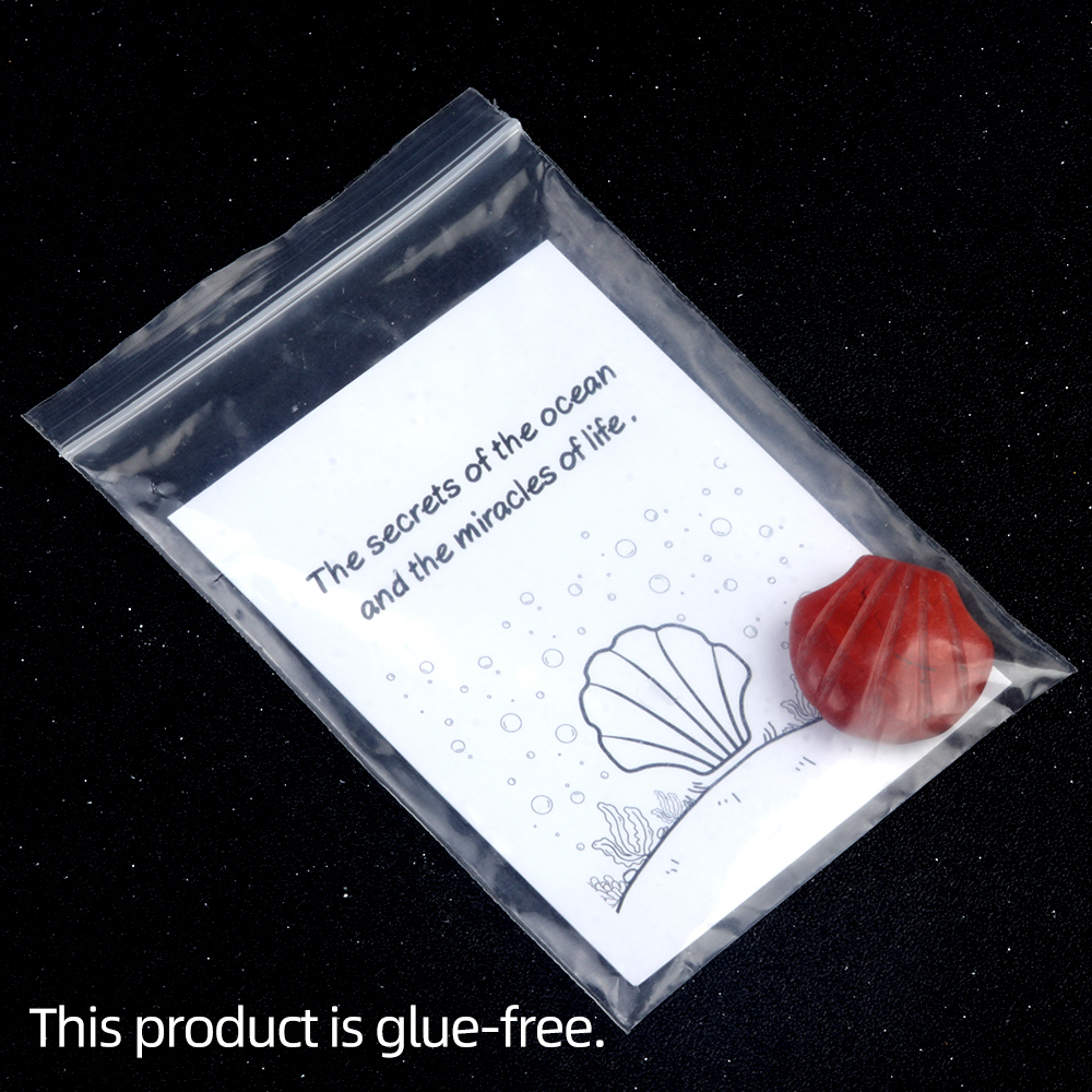 [Copy]Handmade Craved 30MM Gemstone Shell for Home & Office Decor SP1383-in card packing