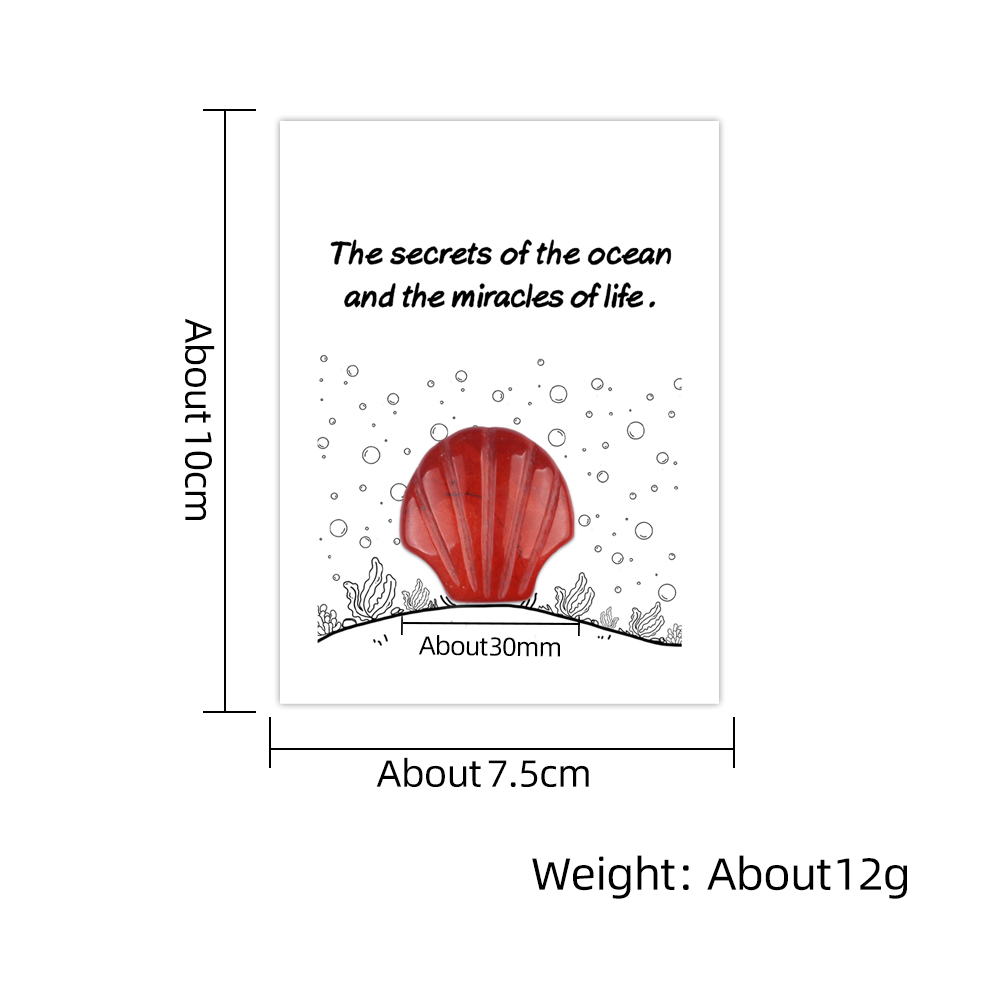 [Copy]Handmade Craved 30MM Gemstone Shell for Home & Office Decor SP1383-in card packing