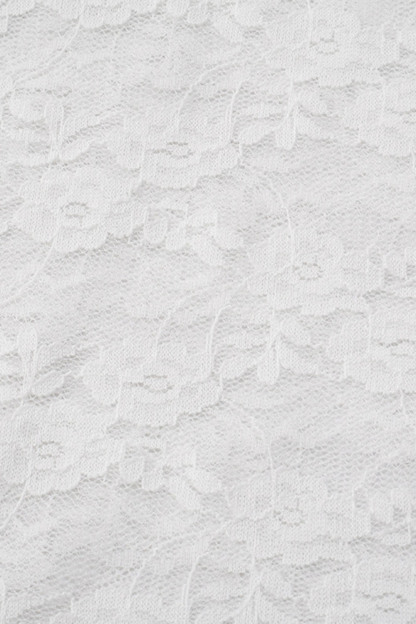 Off Shoulder Guipure Lace See-Through Slim-Fit Top-White