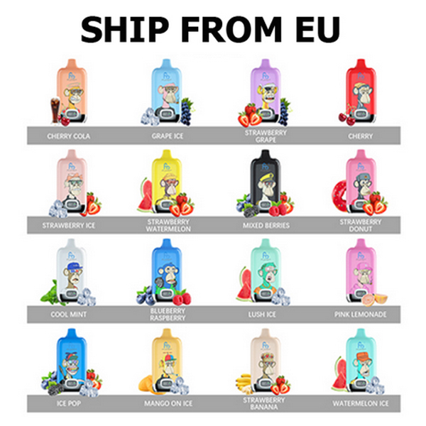 [EU VERSAND] RANDM Digital Box 12000 Kit 12000 Züge 2%-CigBest DE