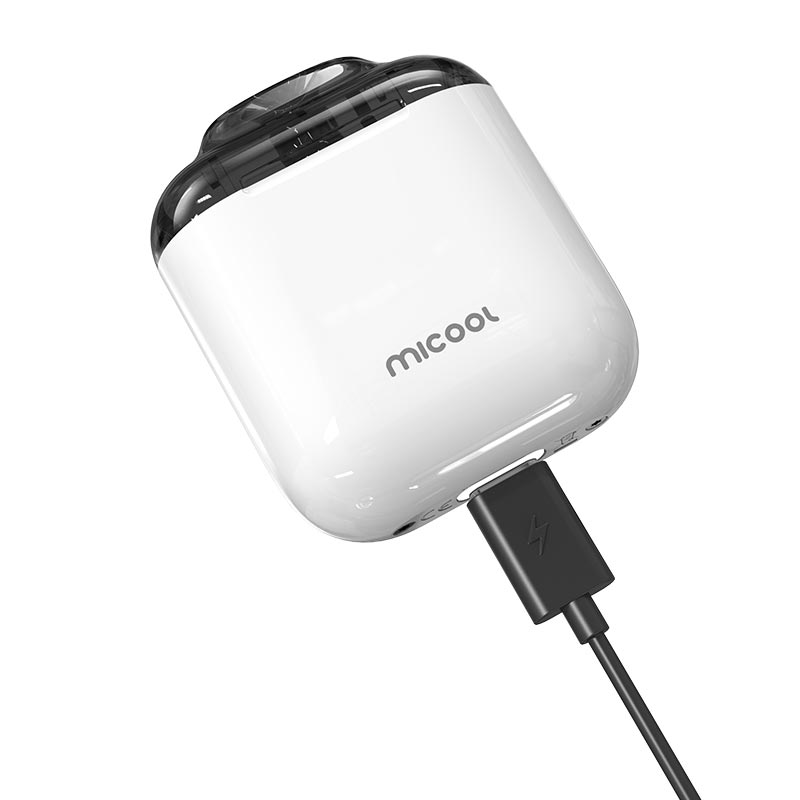 [Global-CN02] ZQ Micool Pod System Kit 500 mAh 5 ml-CigBest DE