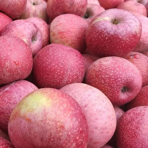 [Global-CN05] Magical Flavour Fruit Concentrated Flavors