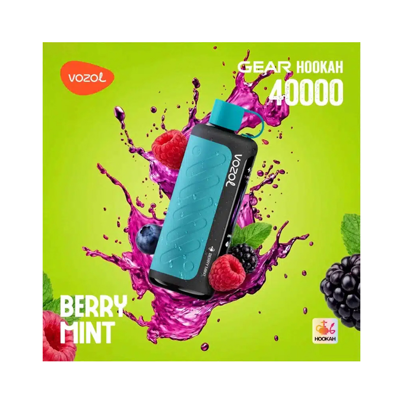 [Europe-PL01] Vozol Gear 40000 Kit DTL 26ml