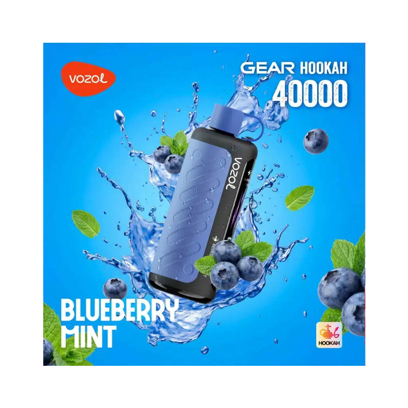 [Europe-PL01] Vozol Gear 40000 Kit DTL 26ml