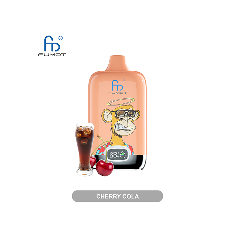 [EU VERSAND] RANDM Digital Box 12000 Kit 12000 Züge 2%-CigBest DE