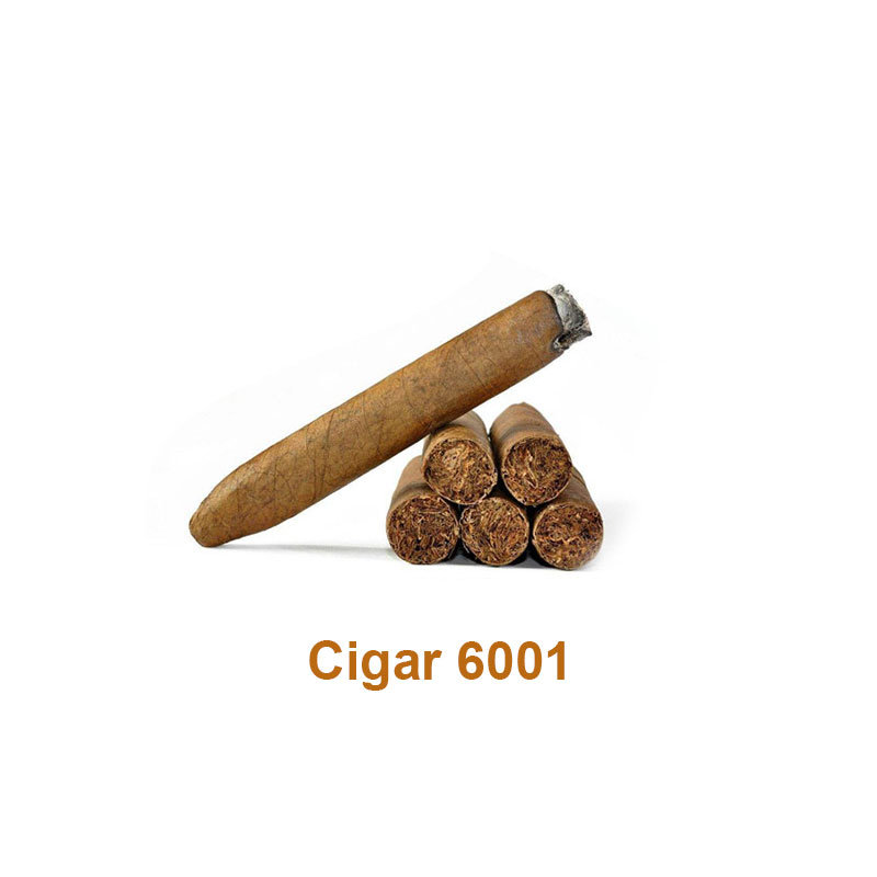 [Global-CN05] Magical Flavour Tobacco Concentrated Flavors