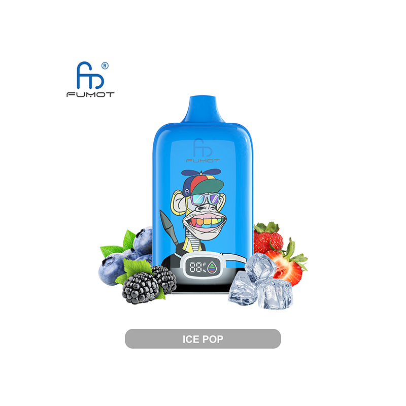 [EU VERSAND] RANDM Digital Box 12000 Kit 12000 Züge 2%-CigBest DE