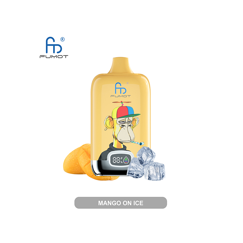 [EU VERSAND] RANDM Digital Box 12000 Kit 12000 Züge 2%-CigBest DE