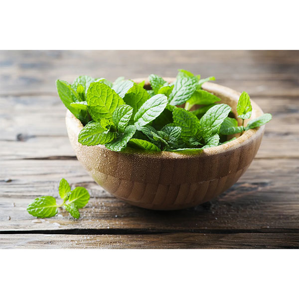 [Global-CN05] Magical FLV Menthol & Mint Concentrated FLVs