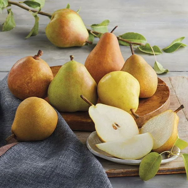 [Global-CN05] Magical Flavour Fruit Concentrated Flavors