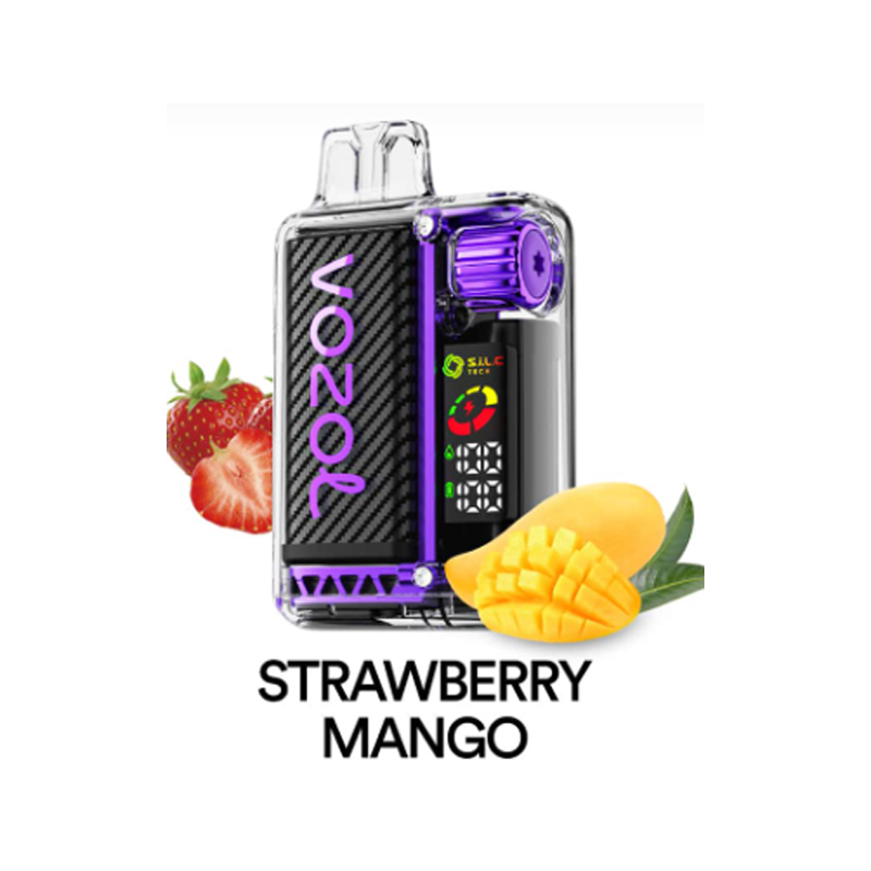 [Europe-PL01] Authentic VOZOL Vista 20000 Kit 24ml