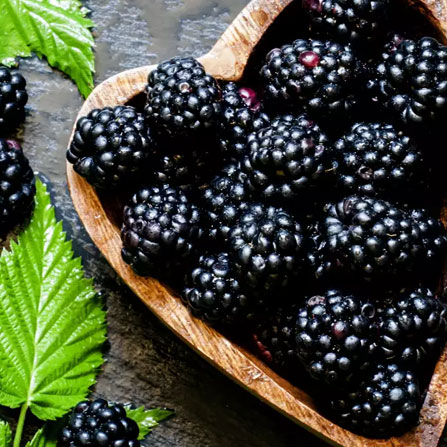 [Global-CN05] Magical Flavour Fruit Concentrated Flavors