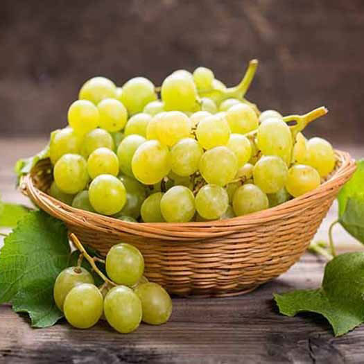 [Global-CN05] Magical Flavour Fruit Concentrated Flavors