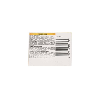 Garnier Belle Color Permanent Hair Dye 110 Ultra Light Natural Blonde