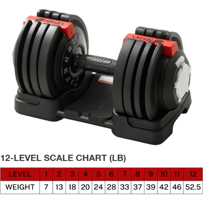 Adjustable Dumbbells Set 52.5 LB 12 Level 3-in-1 Dumbbells Kettlebells Barbells for Home Gym