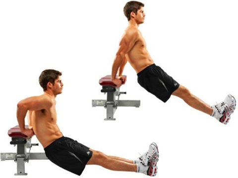 Triceps dips with weight bench