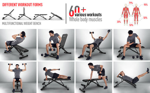 weight bench workout
