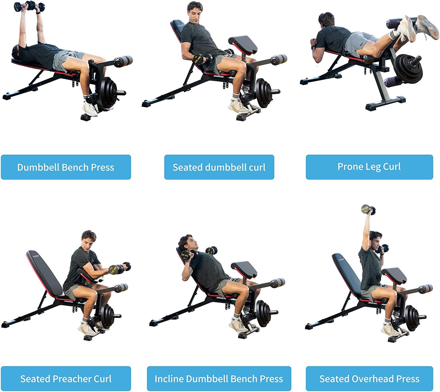 Weight Bench with Leg Extension and Preacher Curl, Incline Decline Heavy Duty Workout Bench for Home Use, HR609 (Plate NOT included)-Trainnox
