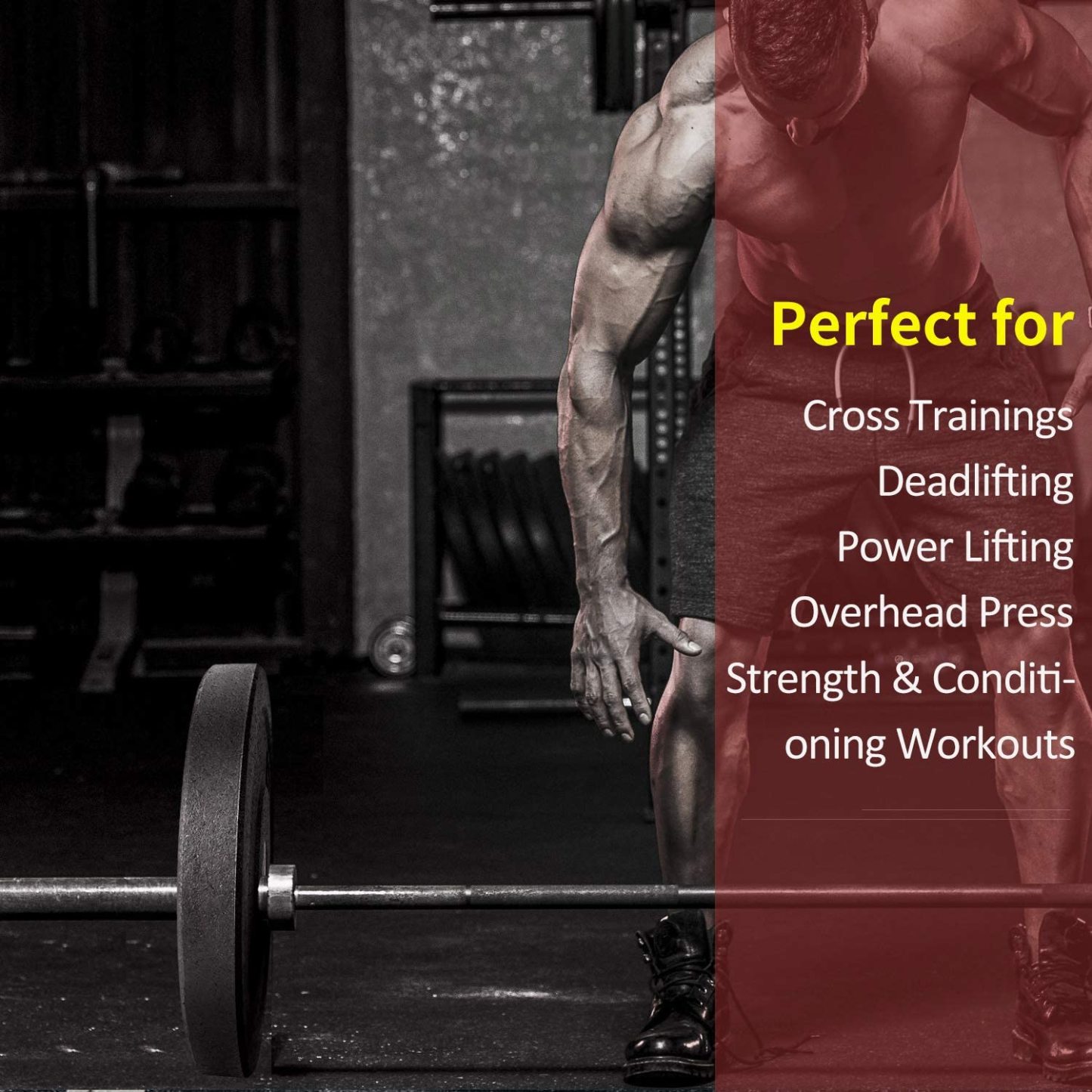 Barbell Olympic Grip Weight Plate for Strength Training-Trainnox
