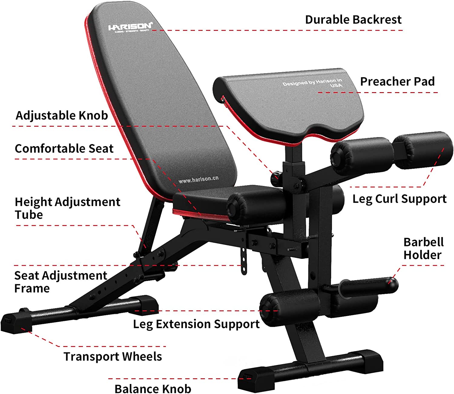 Complete Weight Bench with Leg Extension and Preacher Curl