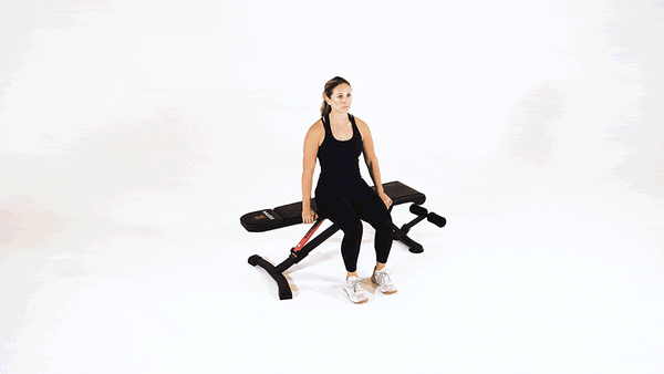 Weight bench Seated Leg Lifts