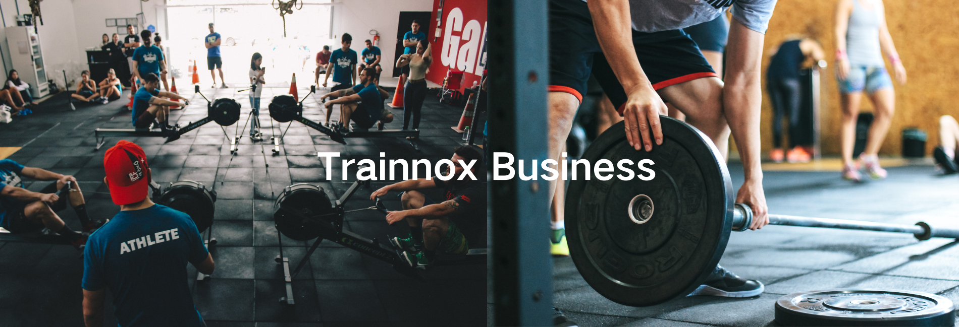TRAINNOX BUSINESS