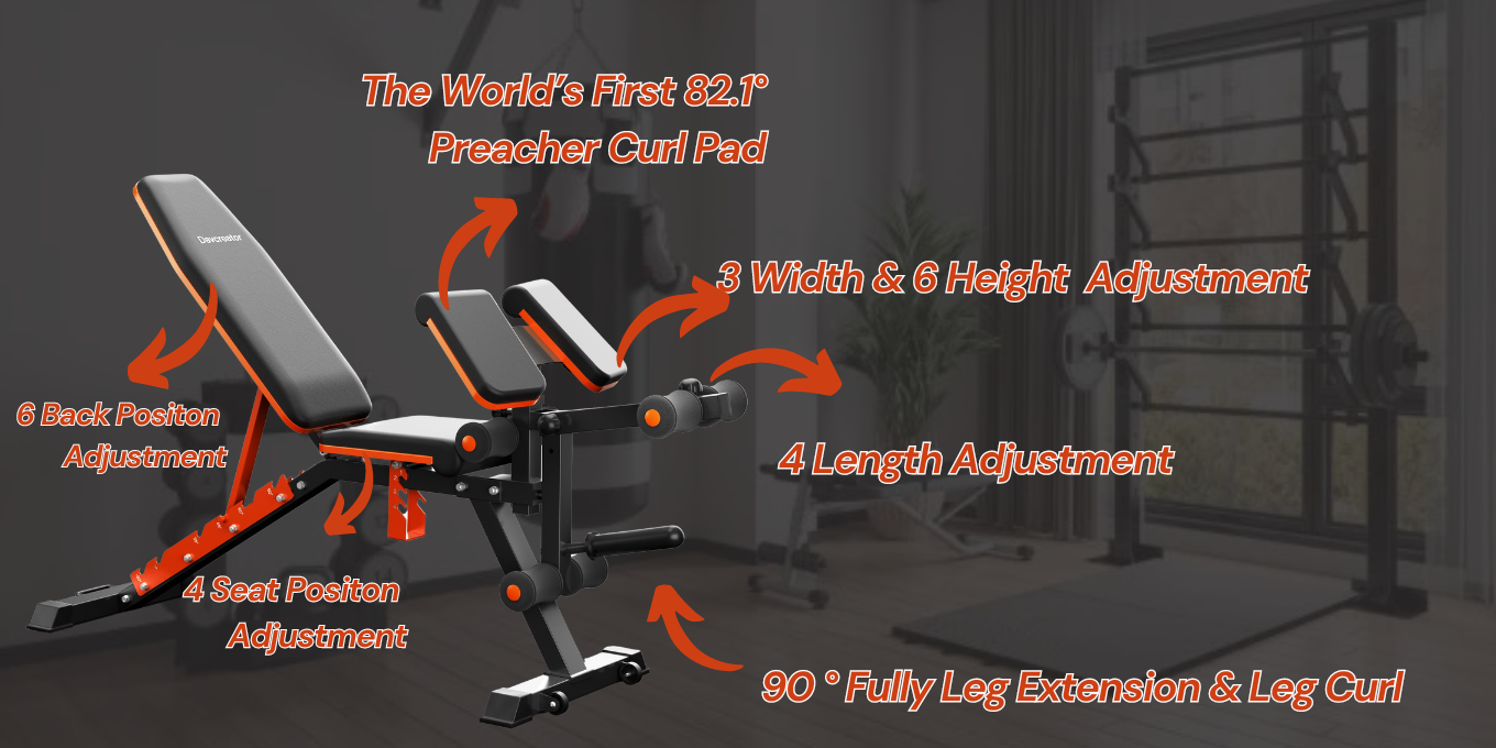 Found a New KING of Budget Home Gym Weight Bench: DAV Weight Bench Review