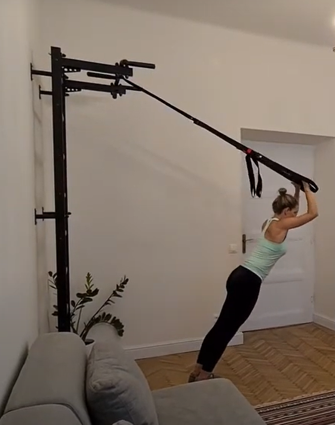 swedish ladder exercise