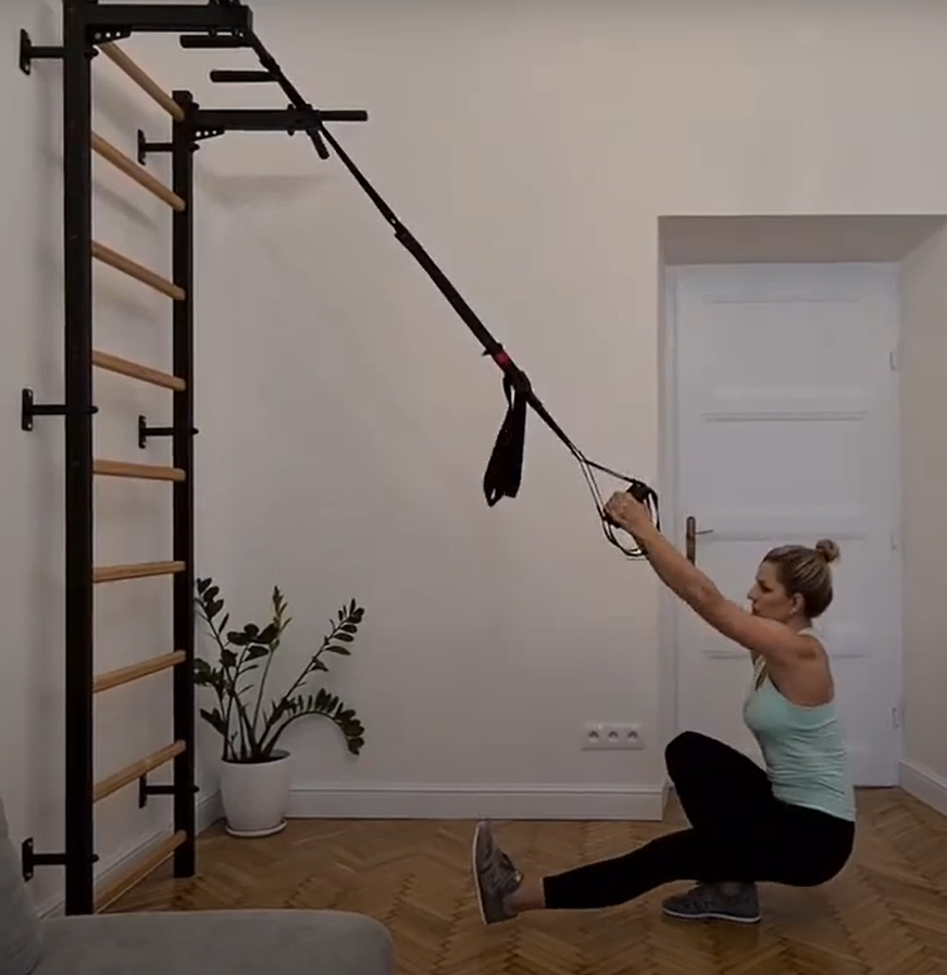 Swedish wall ladder online gym