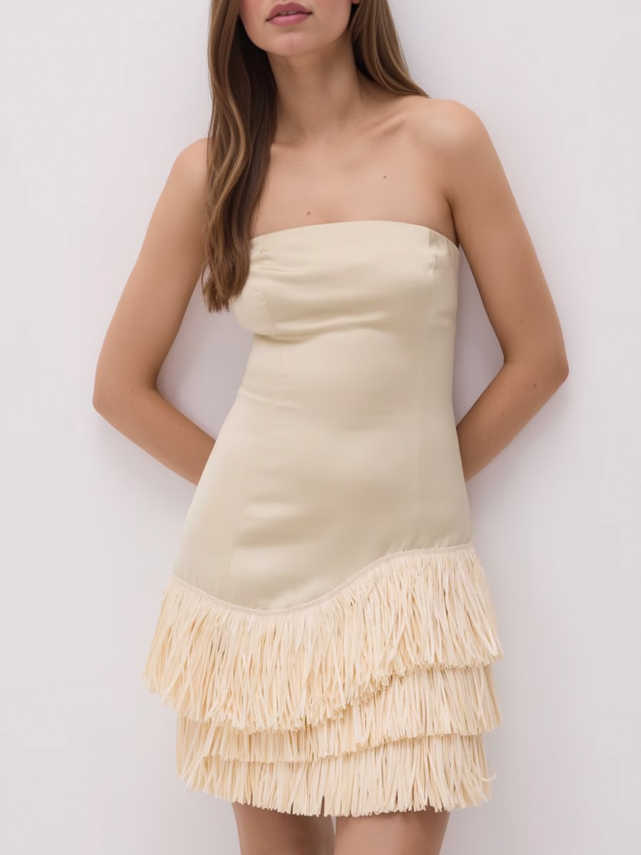 Strapless Tube Top Tassel Women Dress