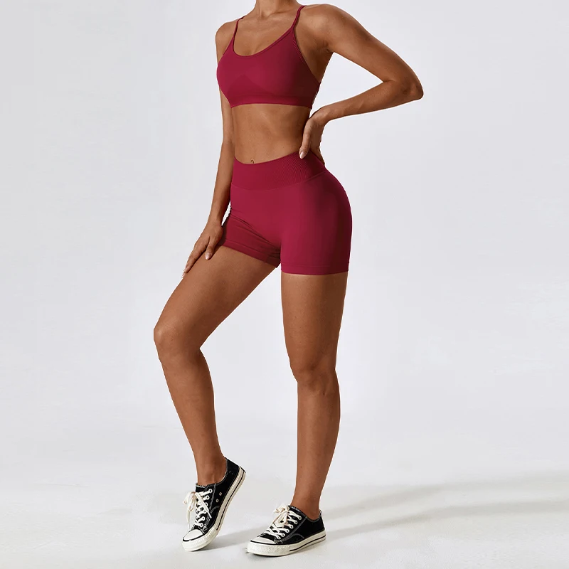 2PCS Yoga Suit Seamless Sports Set Women Quick-Drying Sportswear Gym Set -Zieline