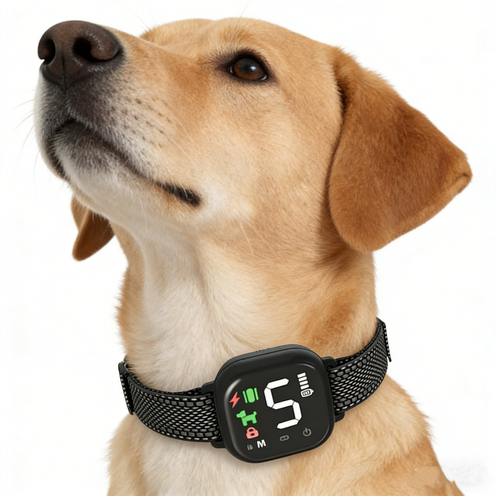 Stop Nuisance Barking With a Dog-Friendly Anti-Bark Collar