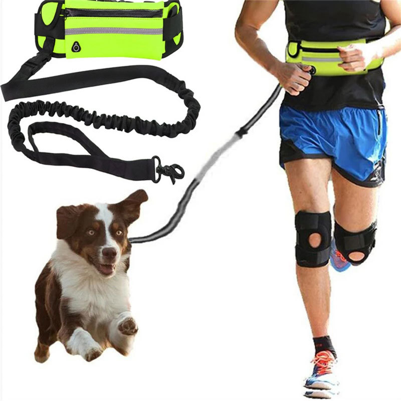 Handsfree Running Bungee Dog Leash with Pouch