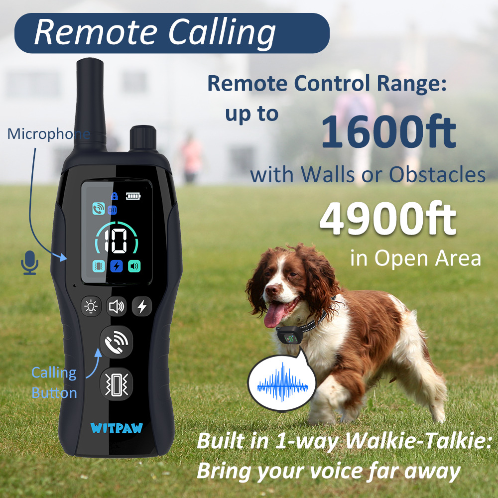 Professional Remote Trainer