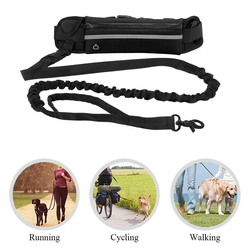 Handsfree Running Bungee Dog Leash with Pouch