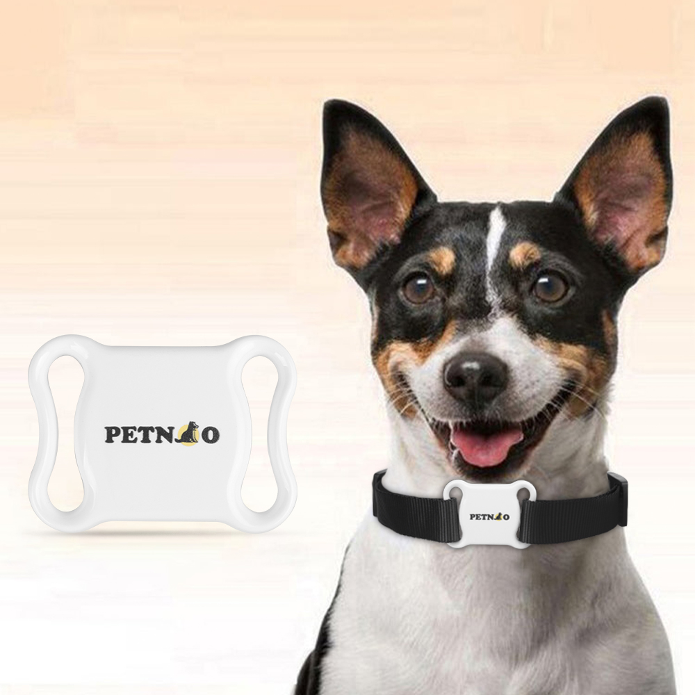 Waterproof GPS Tracker for Pets | Pet GPS Tracker, GPS Dog Collar, Cat & Dog GPS Tracker
