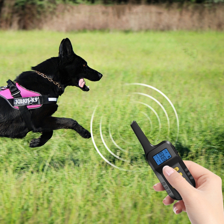 2-in-1 Anti-Bark and Remote Training Collar