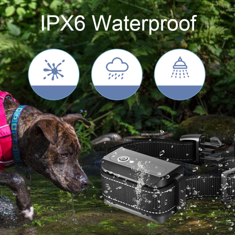 2-in-1 Anti-Bark and Remote Training Collar