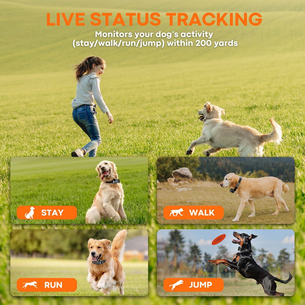 Wireless Dog Fence for Multiple Dogs - Smart Collar